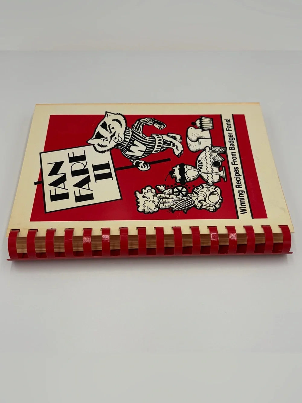 VTG 1981 University of Wisconsin Badgers Fan Fare Il Spiral Cook Book Recipe UW